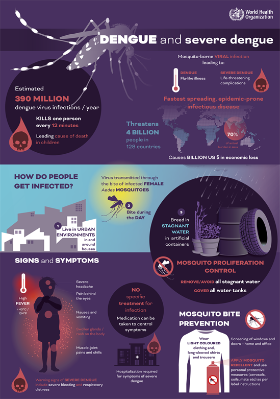 dengue_infographic
