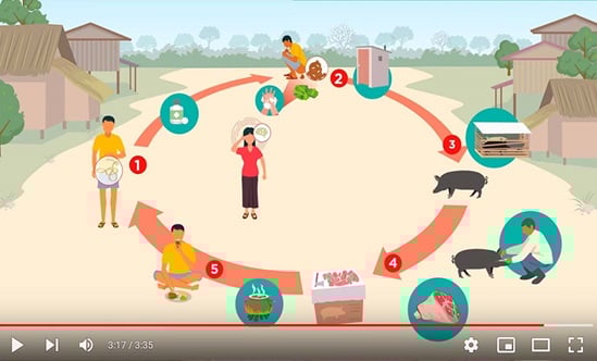 Un enfoque de una sola salud para combatir la tenia porcina