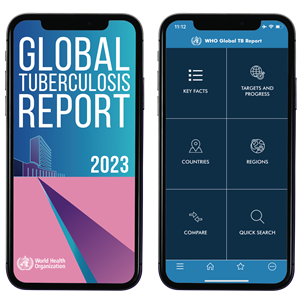 Preview of the GTB report app 2023