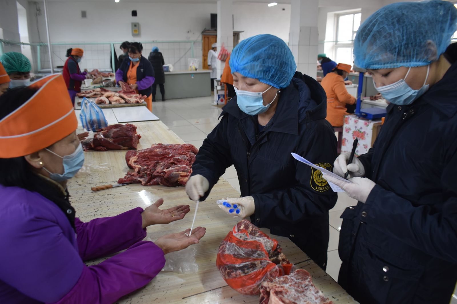 A food inspector visits a meat facility and tests for foodborne diseases.